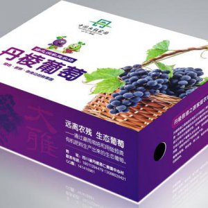 成都创意水果礼盒包装盒子设计印刷公司