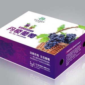 食物包装创意设计的三大基本要求