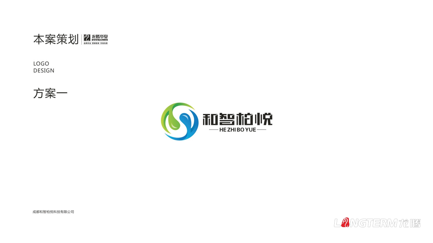 成都和智柏悦科技有限公司LOGO设计_四川科技企业品牌形象VI视觉设计